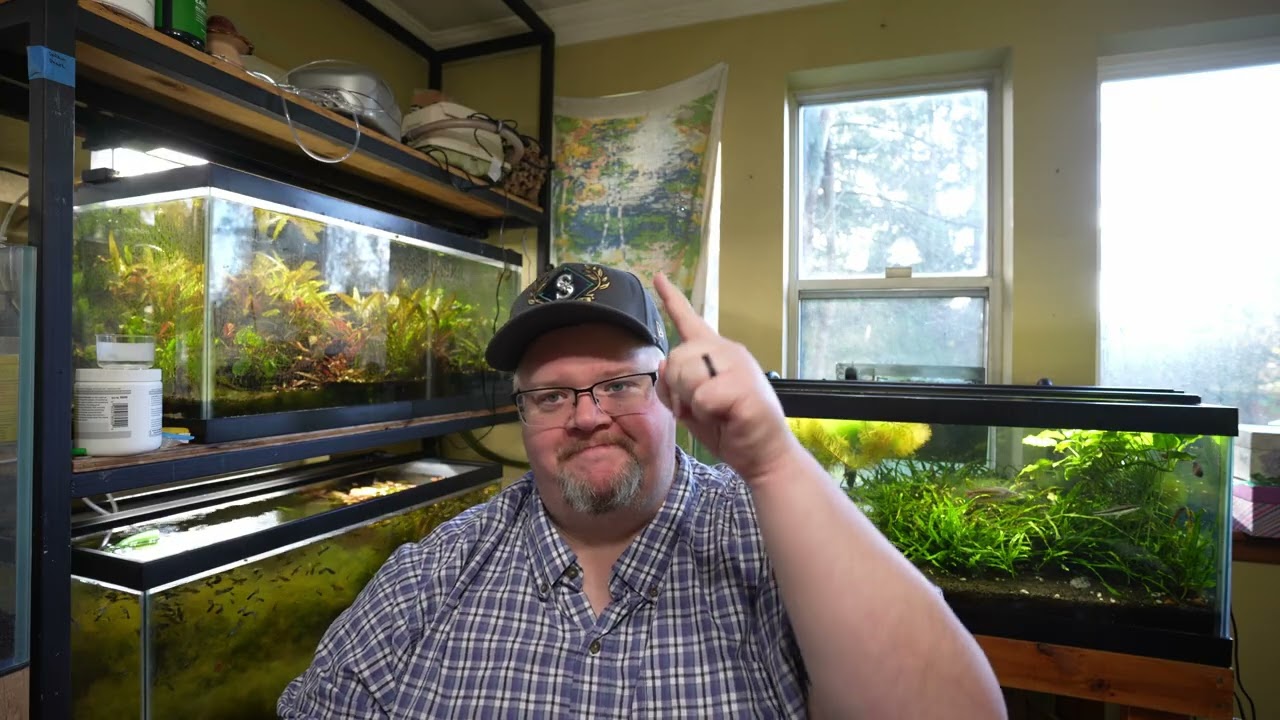 Пополнение запасов высокотехнологичных акваскейпов - Aquarium 911, эпизод 23