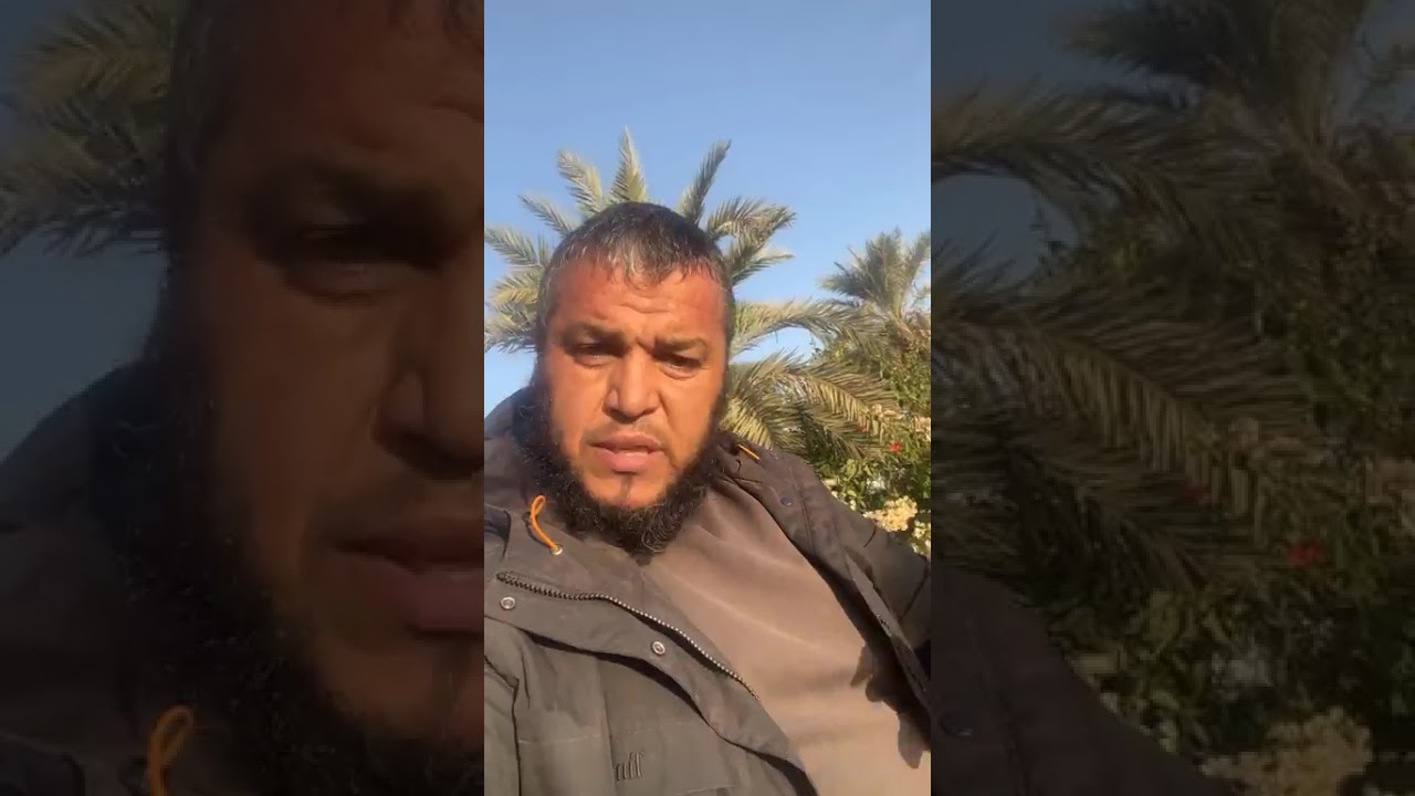 الاشجار الناجحة في إليزي و في الصحراء #الجزائر_الخضراء #خضراء_باذن_الله #نقي_وماترميش  #2026