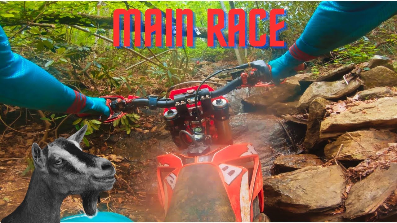 Battle of the Goats 2023 | Main Race | C-Class Lost & Found