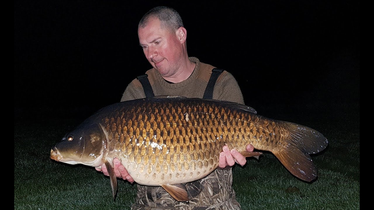 Ep155 -  Kingfisher Lake @ Bluebell Lakes, 72 Hrs Carp Fishing