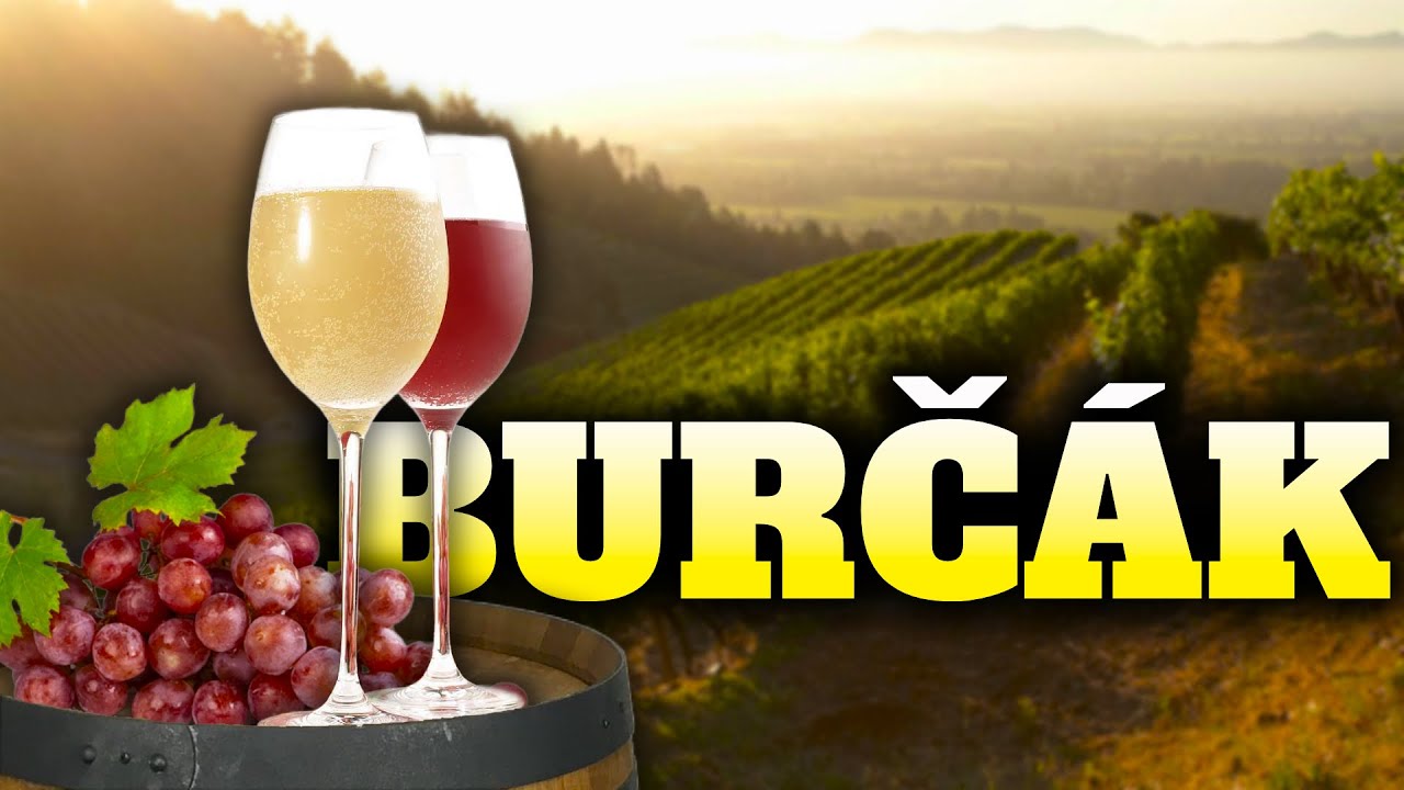 Co Je To Burč&aacute;k?