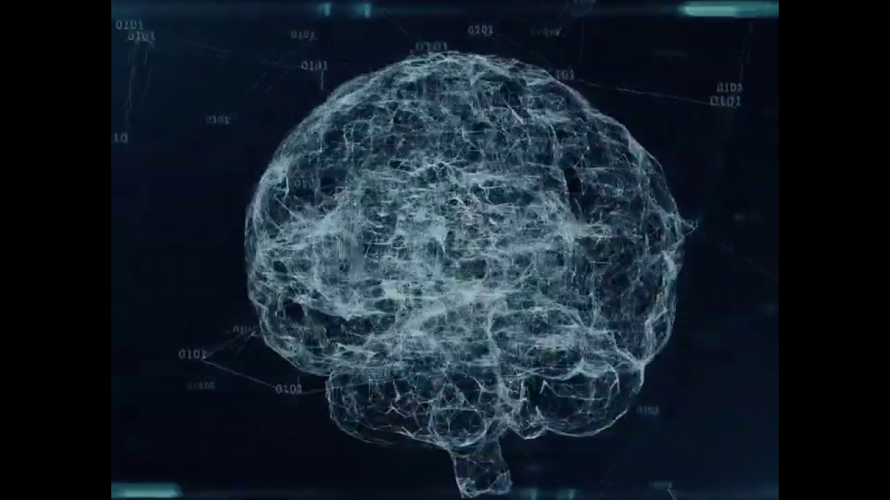 Democratizing Data Science - Data science according to democratic principles