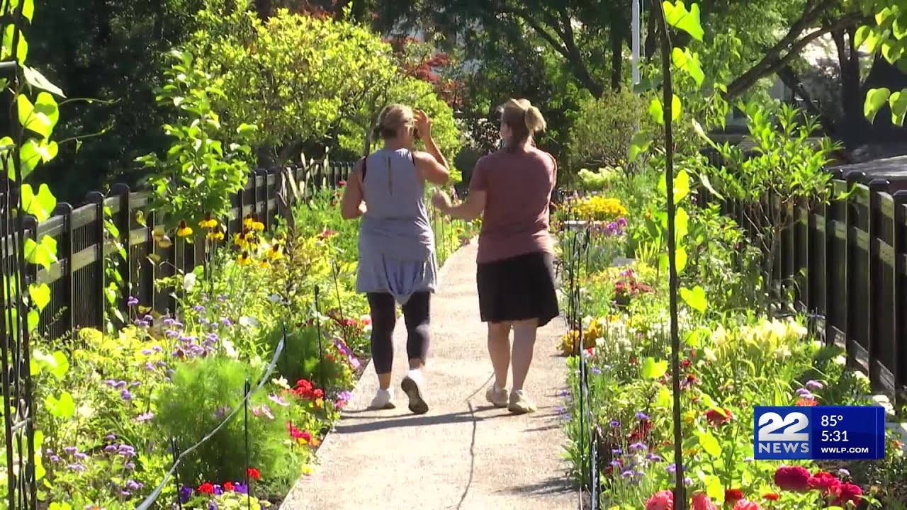 Bridge of Flowers reopens after renovations