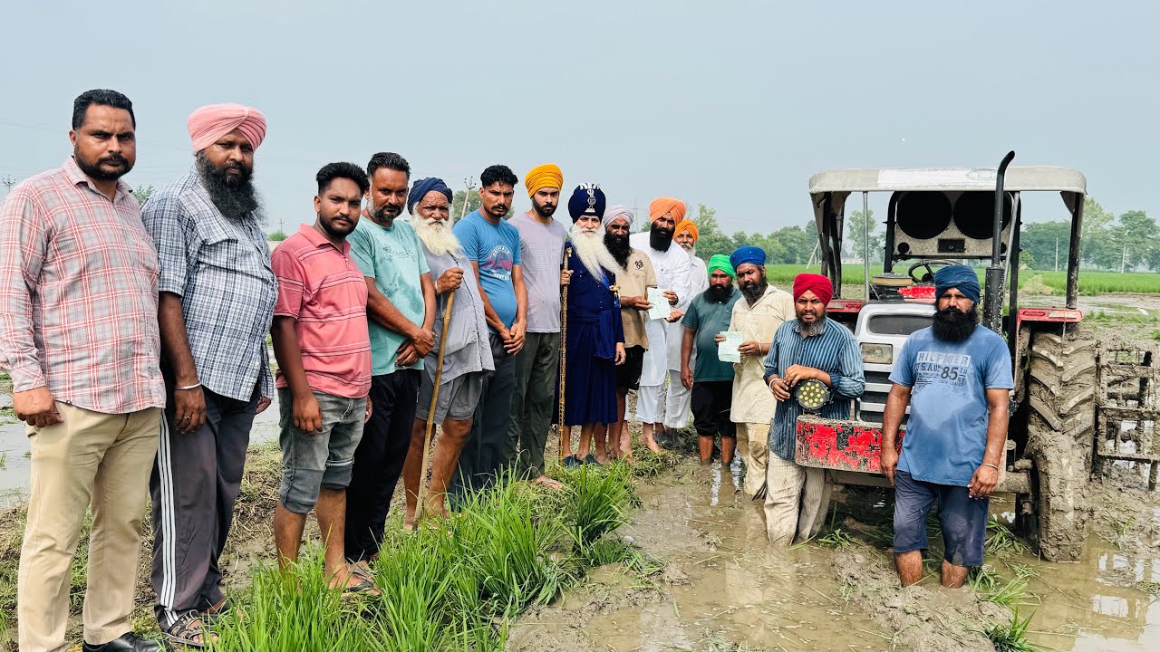 ਪੰਜਾਬ ਖੇਤੀਬਾੜੀ ਯੂਨੀਵਰਸਿਟੀ ਤੋਂ ਲਏ ਬੀਜਾਂ ਨੇ ਕਿਸਾਨ ਕੀਤੇ ਬਰਬਾਦ?