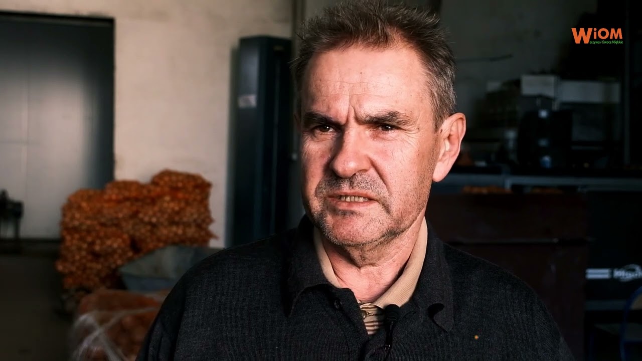 Ziemniaki – zbiór jesienny 2022 co mówią rolnicy?