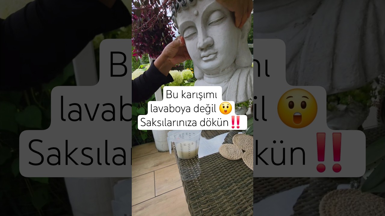 bitki bakımı #bah&ccedil;efikirleri #organikmeyve #sebzeyemekleri #bah&ccedil;e #garden #bitkibakımı #bitkiler