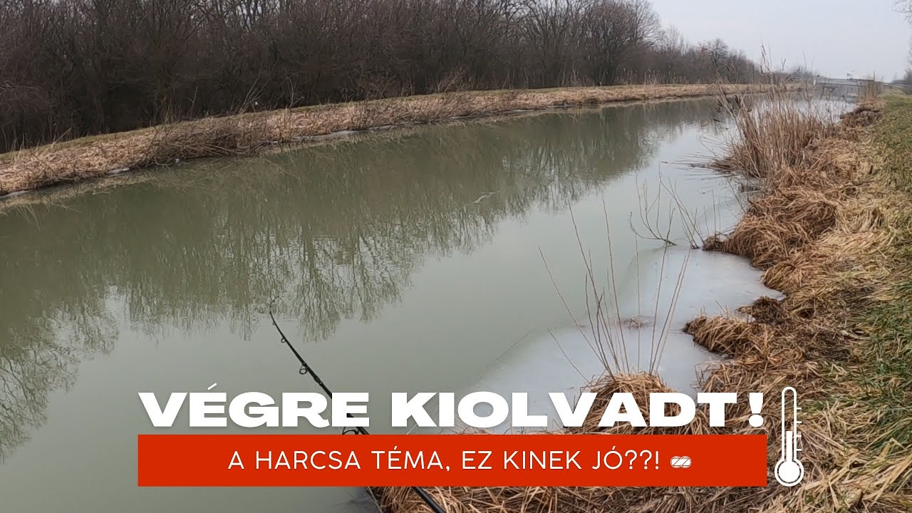 Pergetés olvadás után-Kényes témák...😱😱🐟