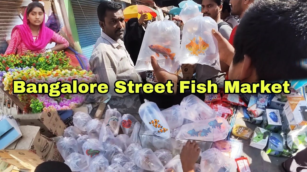 Sunday Street Fish Market , Cheapest Fish Market in Bangalore, Bangalor Chor Bazaar
