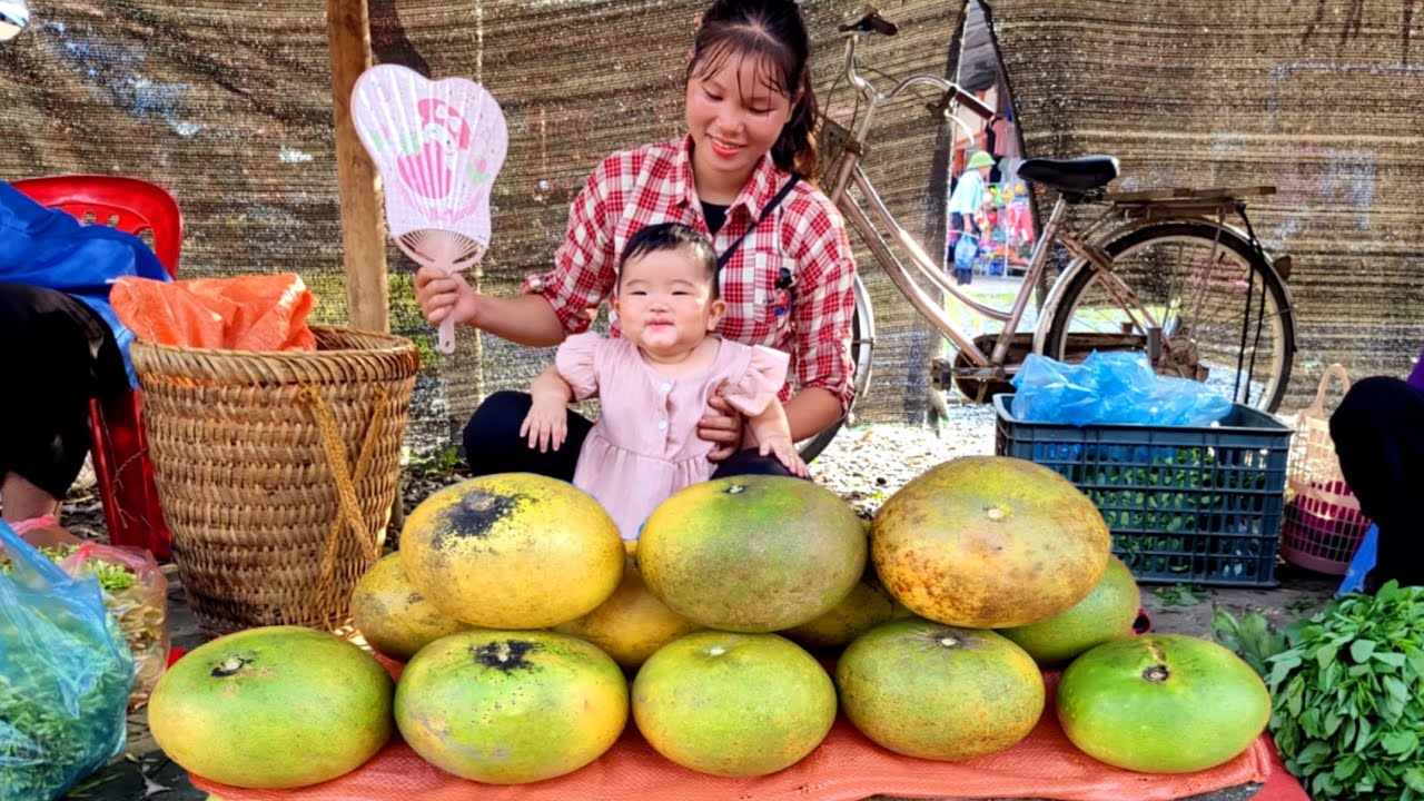 Picking pomelos to bring to the market to sell, clearing stones in the vegetable garden