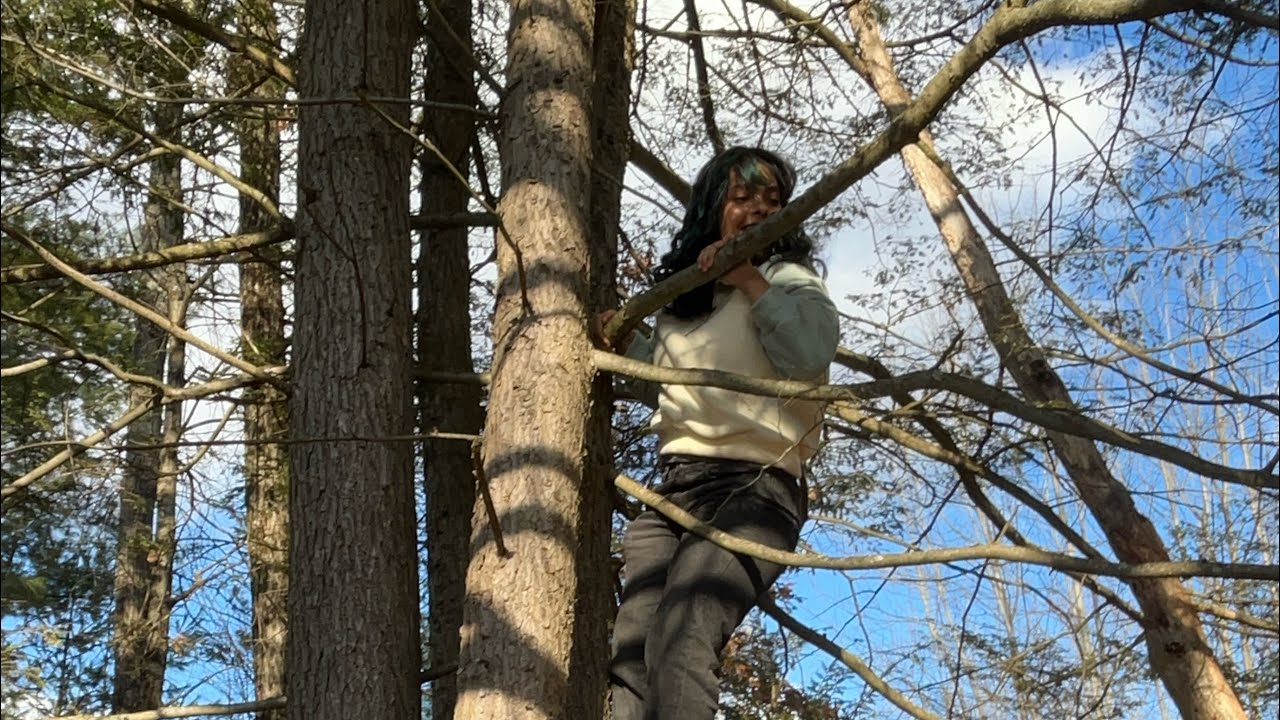 in the woods with my friends 