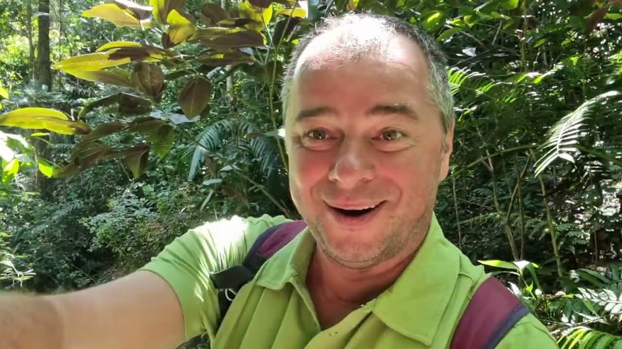 Cum arată interiorul Insulei Sri Lanka? Jungle, Cascade și Culturi de Ceai
