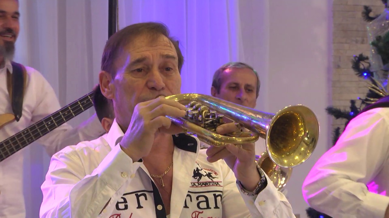 Ljubodrag Radulović - Banatska dvojka