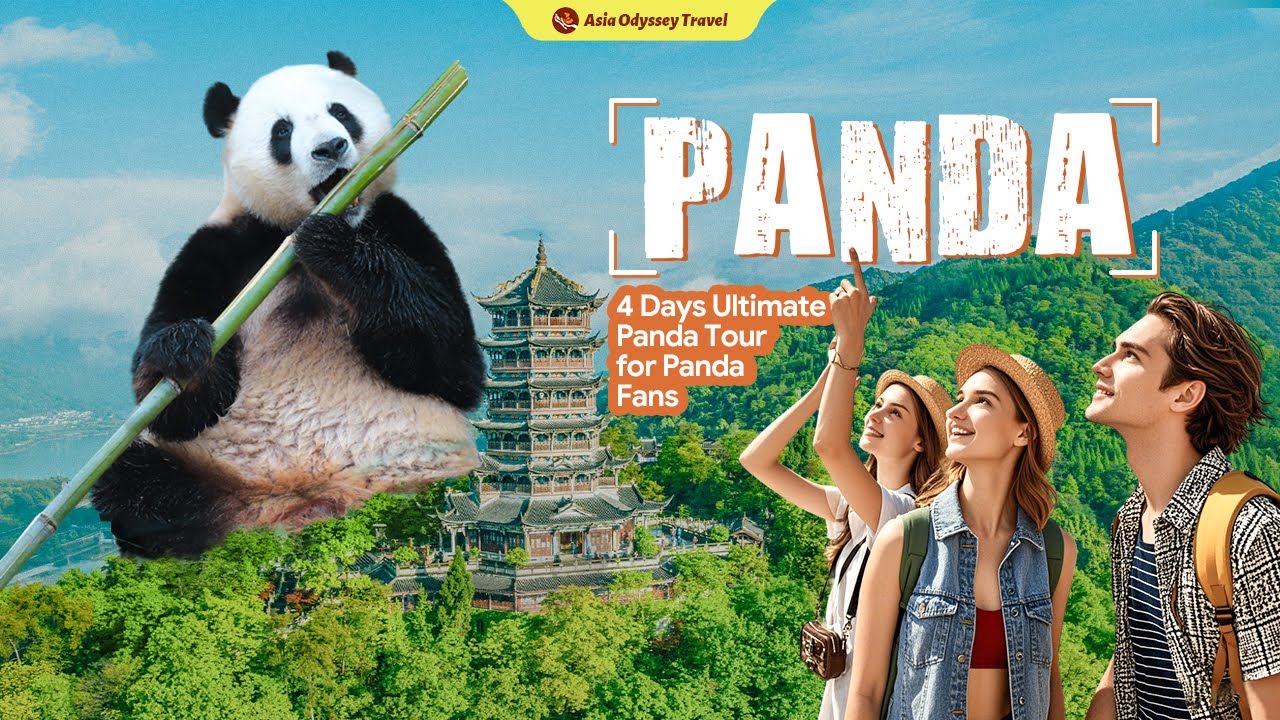 The Ultimate 4 Days Panda Tour - Chengdu, Wolong & Dujiangyan