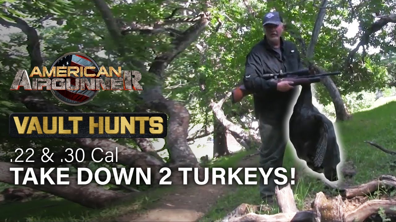 .22 & .30 Cal Take Down 2 TURKEYS! | Vault Hunts