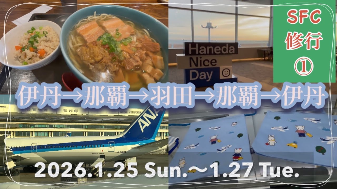 【初心者SFC修行①2026.1】伊丹→那覇→羽田→那覇→伊丹【ひとり旅】費用、獲得PP、PP単価も紹介