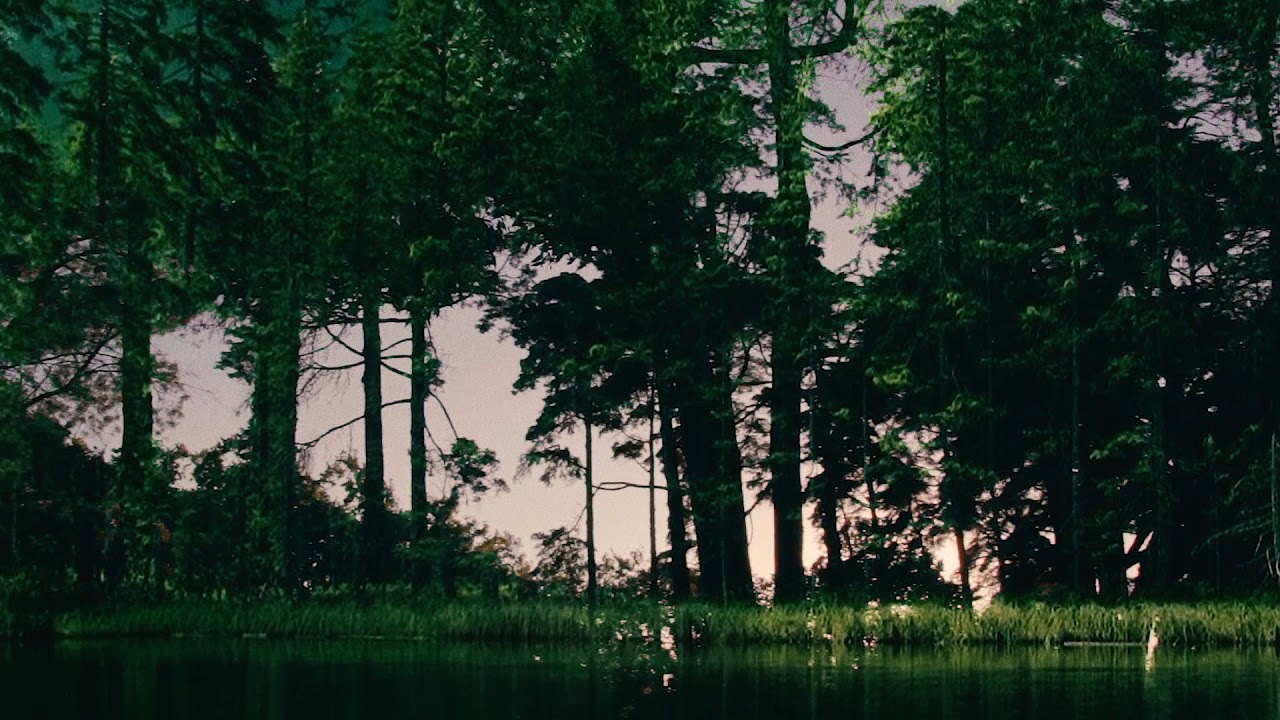 Nadia Schilling &mdash; Somewhere Above the Trees