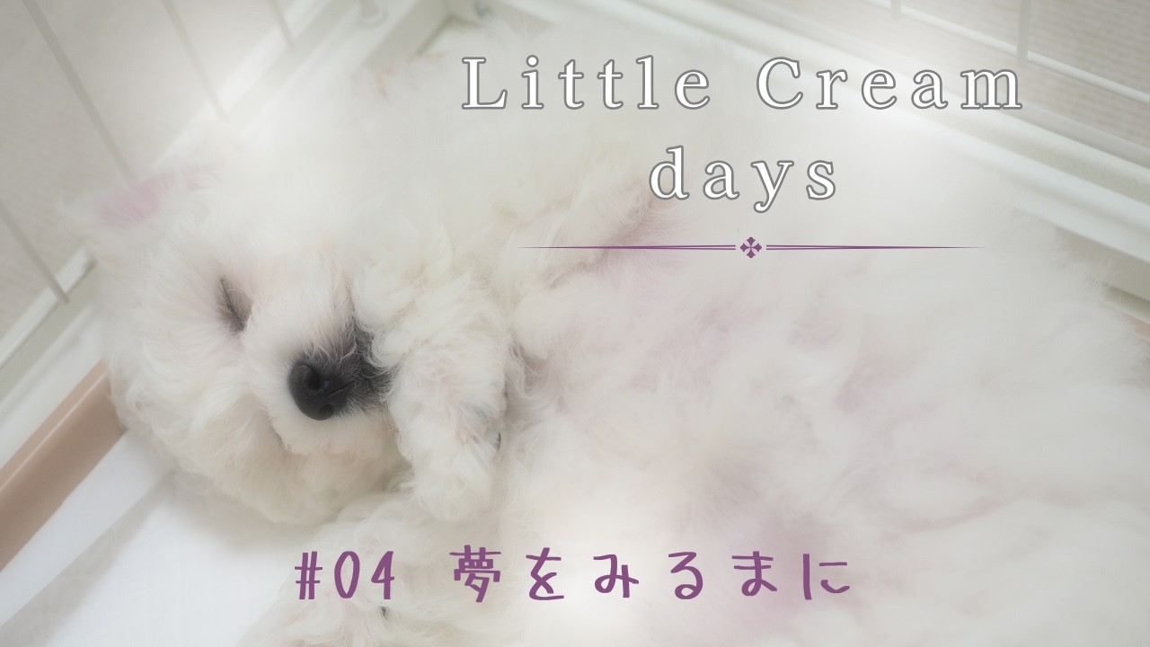 クリームデイズ｜#04  夢をみるまに