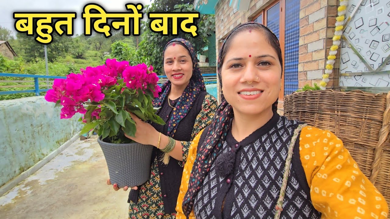 पहाड़ों की खूबसूरती के साथ केदारनाथ यात्रा का माहौल || Pahadi Lifestyle Vlog || Priyanka Yogi Tiwari 