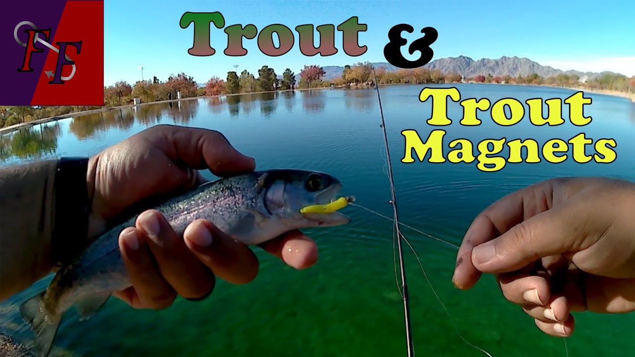 Trout and trout magnets, how I use them