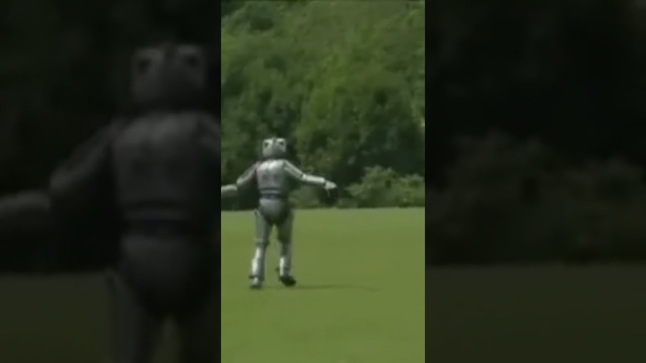 OH A CYBERBIRD #doctorwho #cybermen #davidtennant