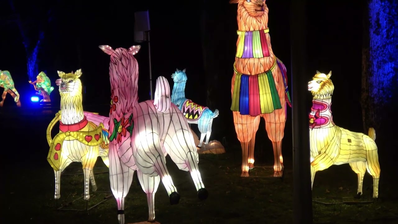 L'Odyssée Lumineuse - Janvier 2024 - Jardins de l'Evêché à Limoges