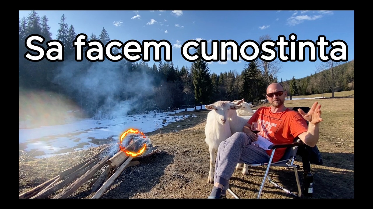 Ma intereseaza parerea ta!