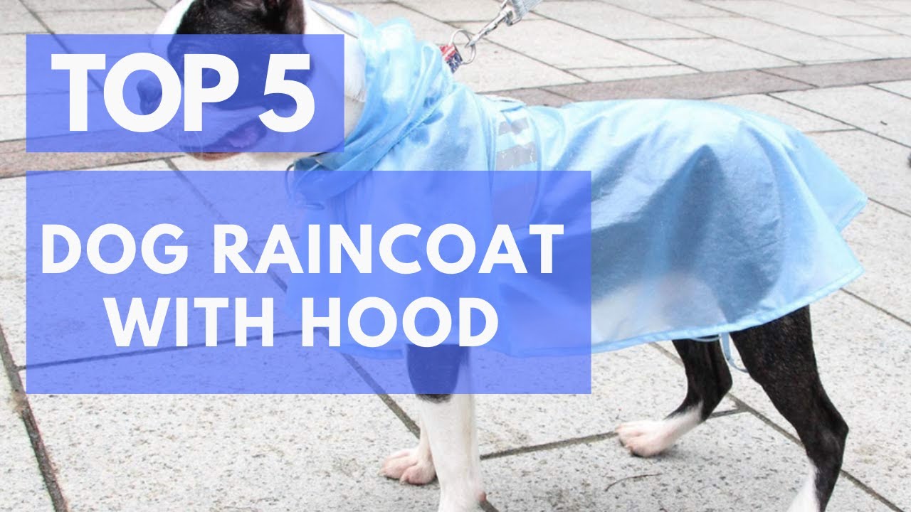 Top 5 Dog Raincoat With Hood 2021