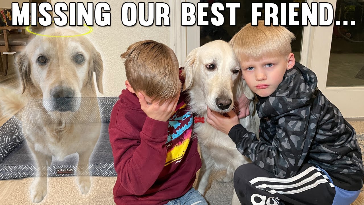 It's Not Easy Losing a Family Member || Mommy Monday