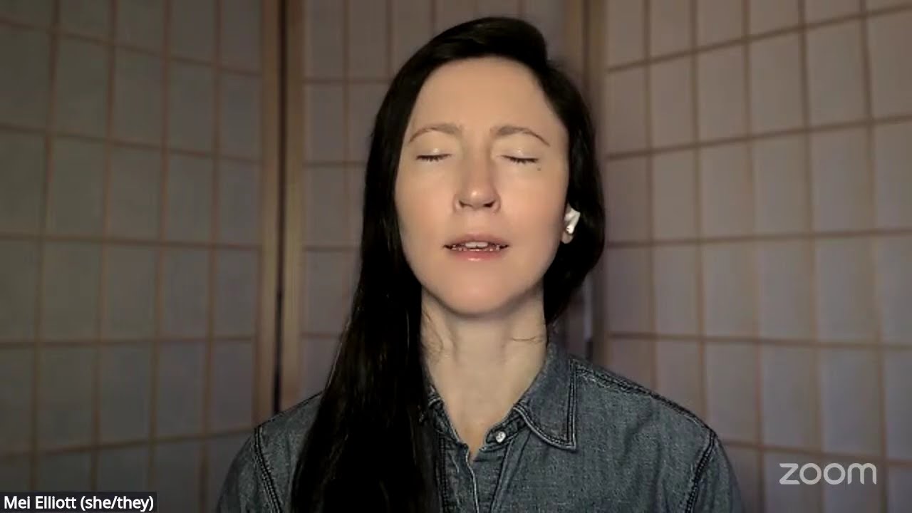 Guided Meditation: Insight into the Three Characteristics (1 of 5): Introduction - Mei Elliott