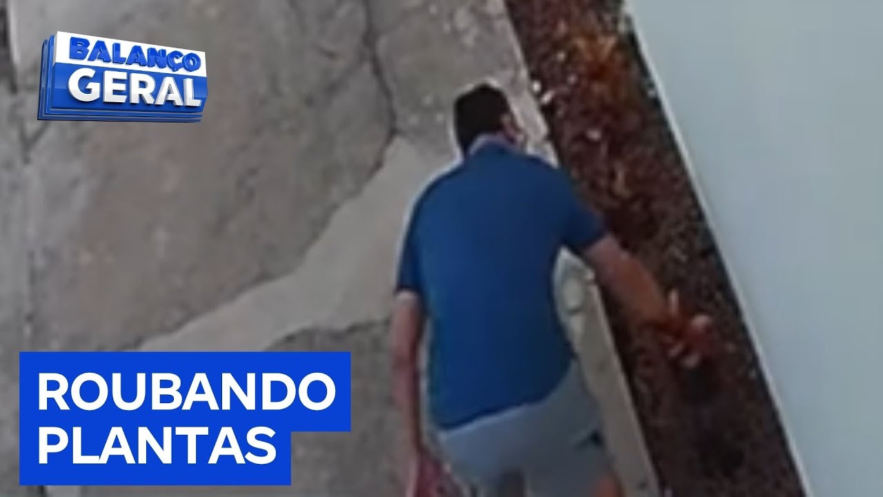 Homem é flagrado roubando plantas de jardim de escola particular