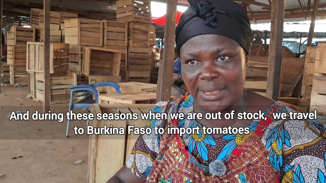 The Cost of Tomato: Tomato Traders in Techiman Plead for Irrigation After Deadly Burkina Faso Attack