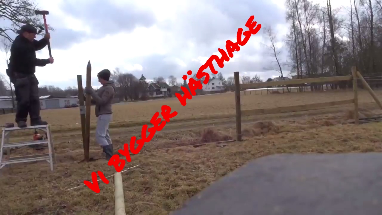 Vi bygger hästhage!