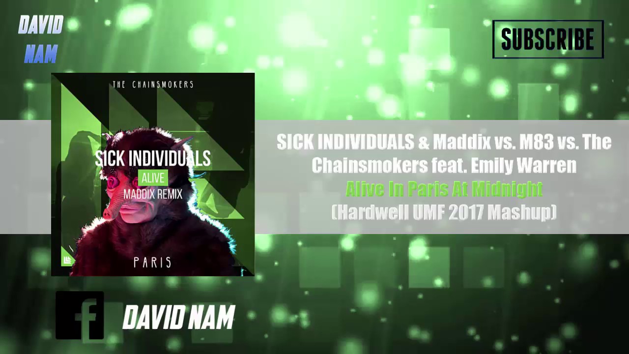 Alive In Paris At Midnight (Hardwell UMF 2017 Mashup) [David Nam Remake/Edit]