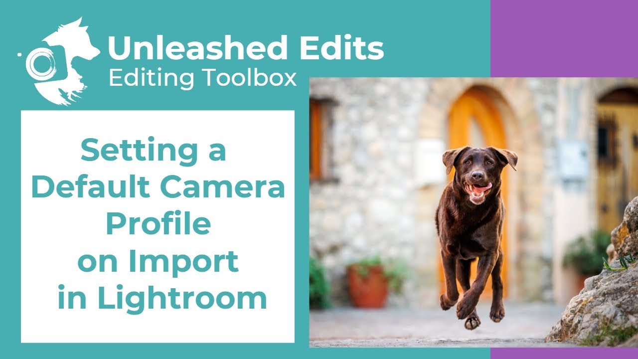 Setting a Default Camera Profile on Import in Lightroom