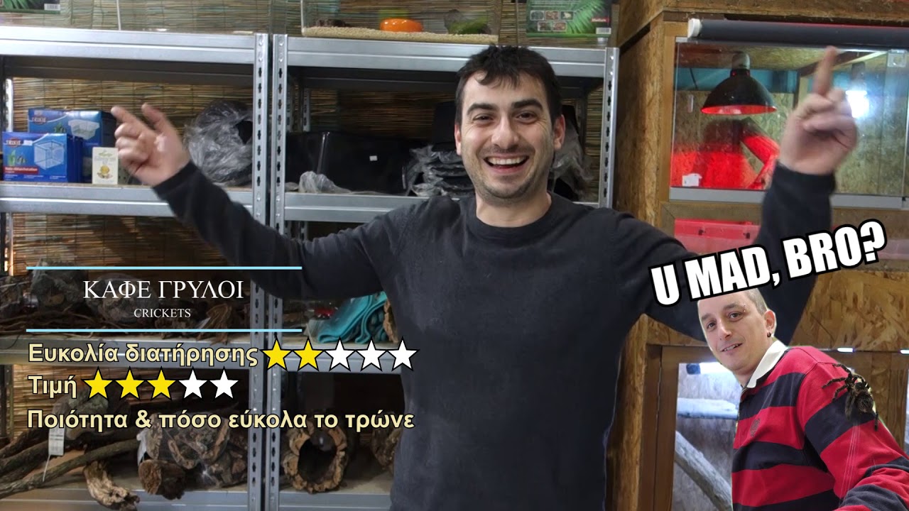 Έντομα - Σκουλήκια Β' μέρος αξιολόγηση και διατήρηση| Feeders Strs ep 38