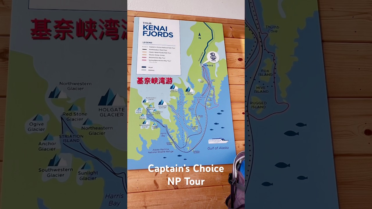 #alaskatrip #kenaifjords #seward #wildlife #icoolrv #memorablemoments #阿拉斯加房车行 #出海 #海洋动物