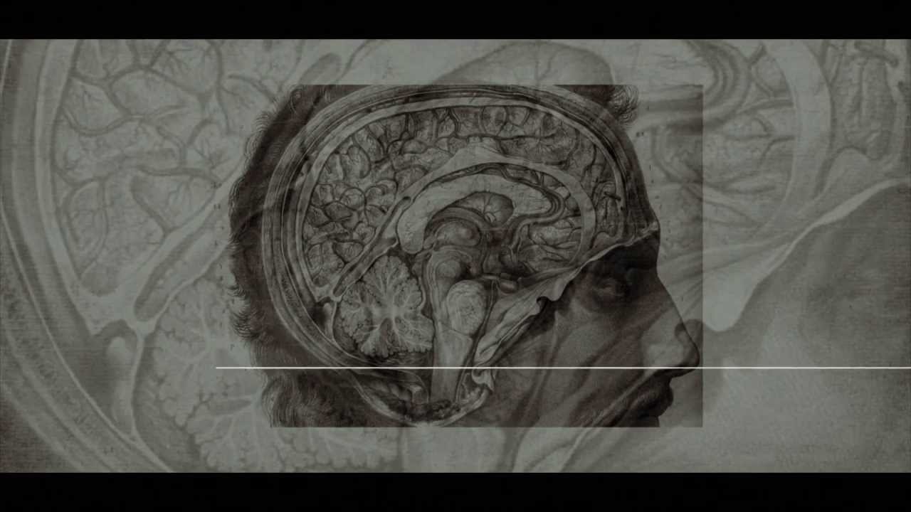 Documental: La mente corporizada (The embodied mind)