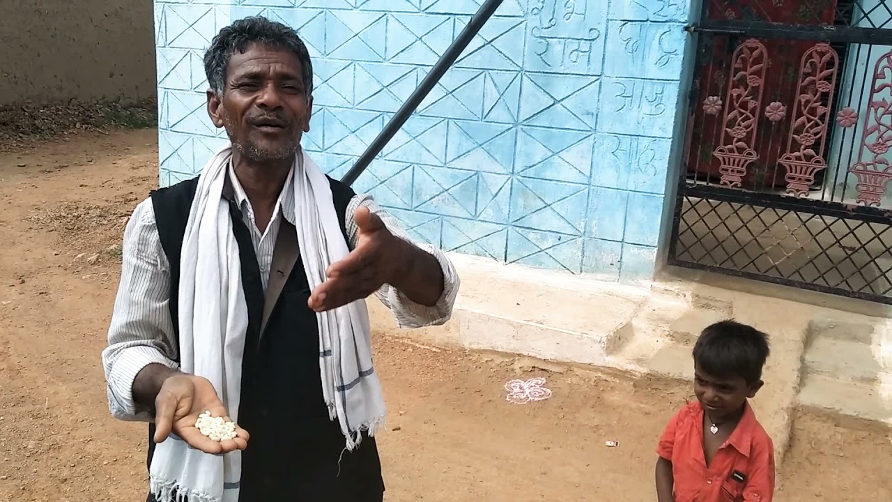 छत्तीसगढ़ी गीत दीदी ओ दाई ओ लईका बर ले दे मुर्रा