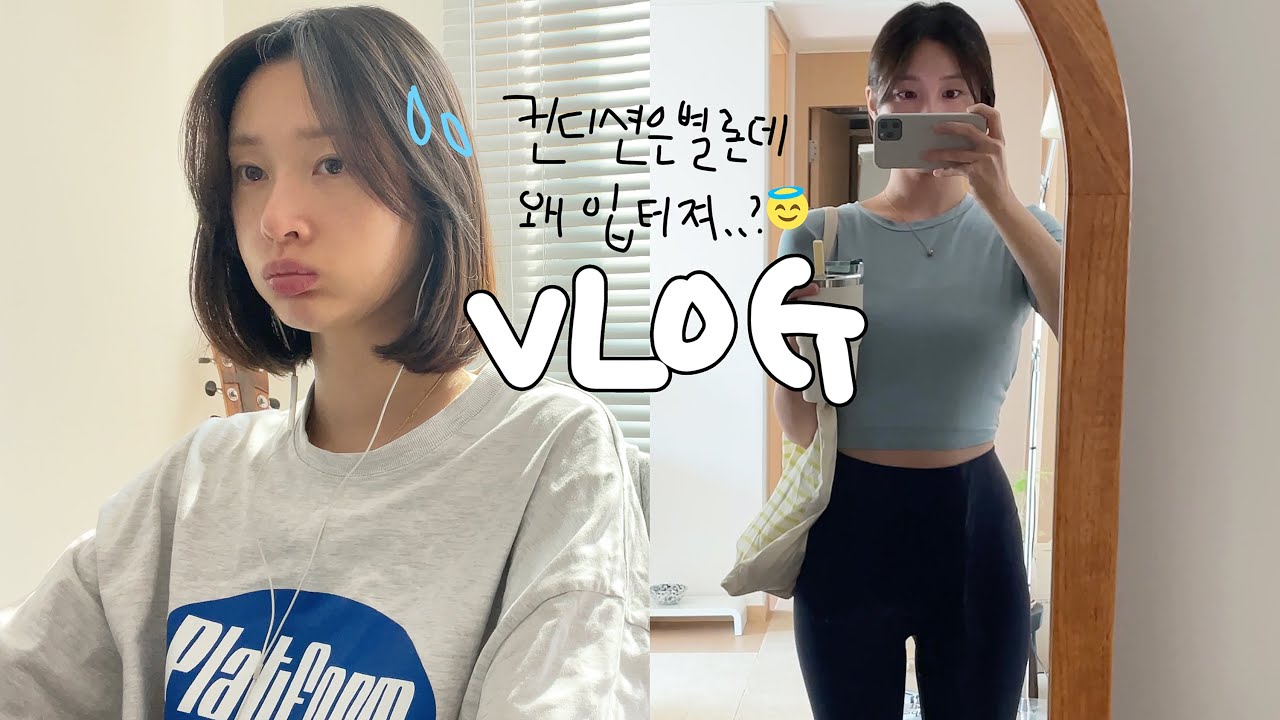 [vlog]일상 브이로그(입터진 pms주간/교촌치킨 최고오/오랜만에..만취요😇/맥날 해장/야채곱창/고기에 쏘주/남영동 리파인/갈토스트/갈쿡 스테이크와 샐러드/백반/시바견 택이)