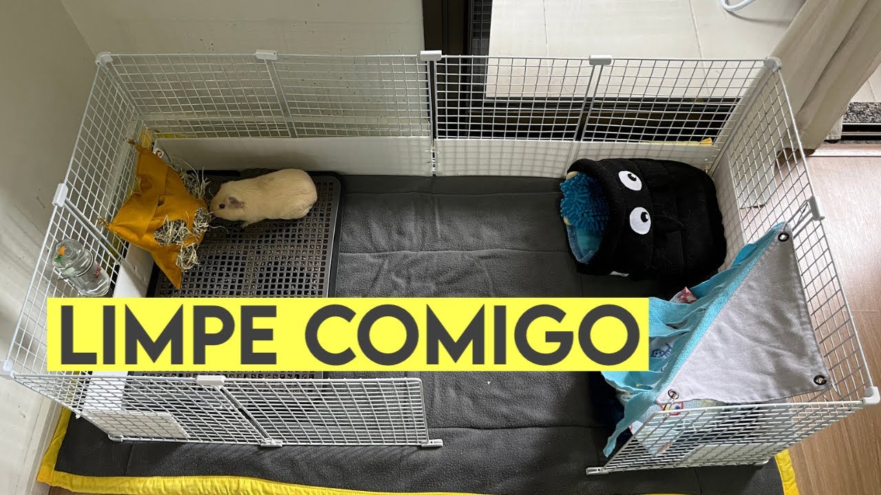 Limpeza e Troca de Forração