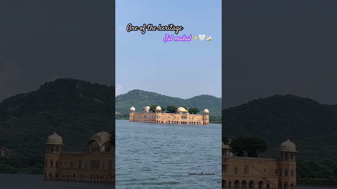 One of the heritage: Jal mahal✨🦢#jalmahal #jaipur #heritage #pinkcity #rajasthan #shorts