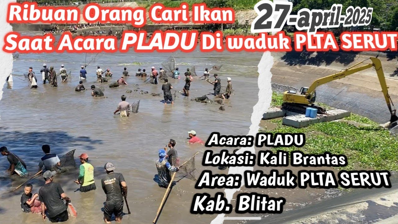 Pladu Brantas Ribuan Orang Mencari ikan saat 𝙋𝙇𝘼𝘿𝙐 di sungai 𝘽𝙍𝘼𝙉𝙏𝘼𝙎 