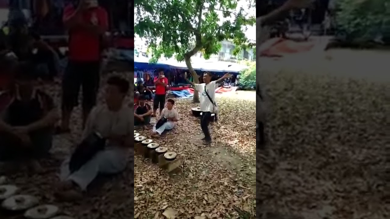 nogungan sonsogon