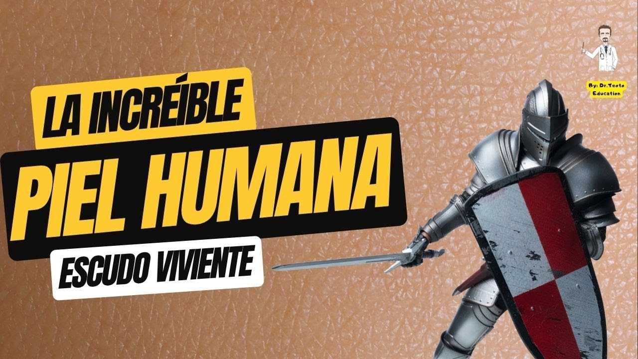 Piel: una maravilla de bioingenier&iacute;a.