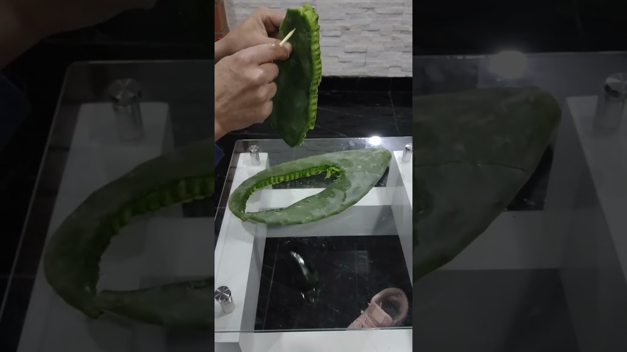 con la plantilla del nopal eliminaras los fuertes dolores del espol&oacute;n calc&aacute;neo