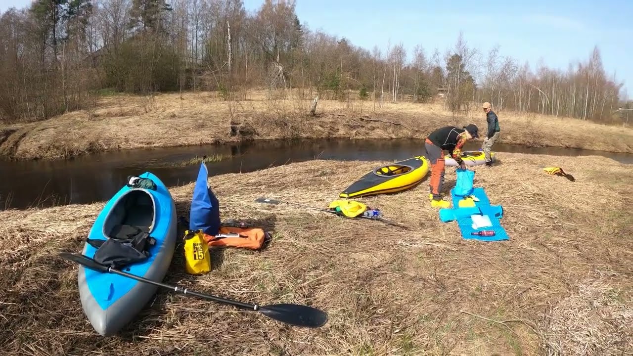 Река Пчевжа,  Водогон- Петровское, 19-20.04.2025, воды нет совсем, сплошные завалы из ольхи