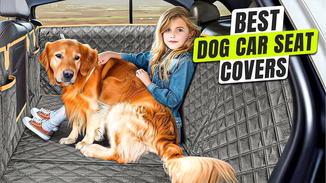 3 лучших чехла на заднее сиденье автомобиля для собак
