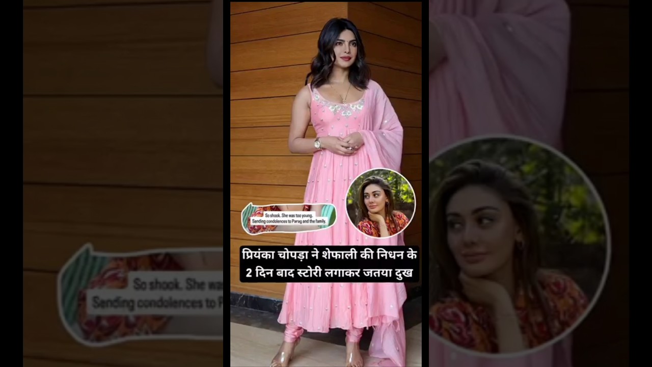 Priyanka Chopra expressed grief by posting a story🥹