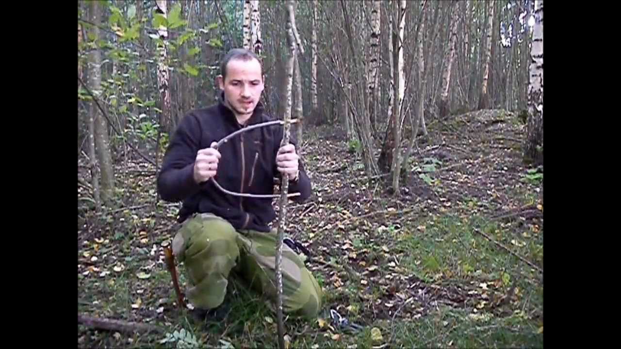 Old style bird trap