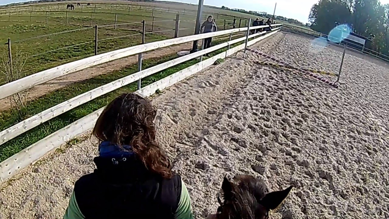 (COURS GALOP 3-4)-SAUT+CHUTE, REFUS, PRESQUES CHUTES